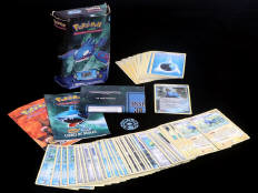 POKEMON COMPANY (FRANCE) (1)