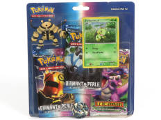 POKEMON COMPANY (FRANCE) (1)