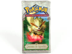 POKEMON COMPANY (FRANCE) (1)