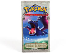 POKEMON COMPANY (FRANCE) (1)