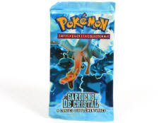POKEMON COMPANY (FRANCE) (1)