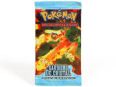 POKEMON COMPANY (FRANCE) (1)