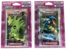 POKEMON COMPANY (FRANCE) (2)